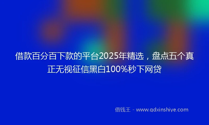 借款百分百下款的平台2025年精选，盘点五个真正无视征信黑白100%秒下网贷