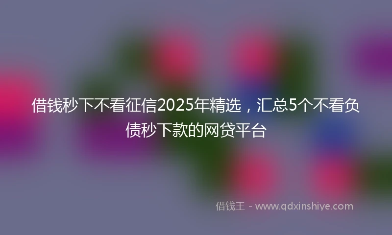 借钱秒下不看征信2025年精选，汇总5个不看负债秒下款的网贷平台