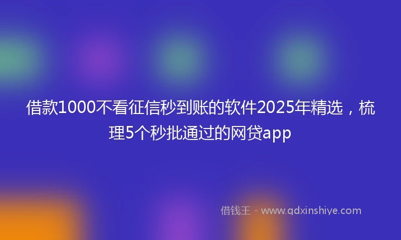 借款1000不看征信秒到账的软件2025年精选，梳理5个秒批通过的网贷app