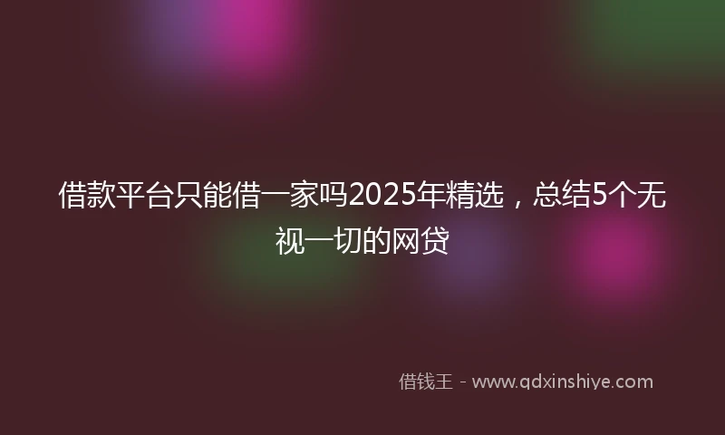 借款平台只能借一家吗2025年精选，总结5个无视一切的网贷