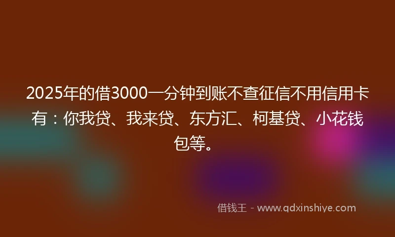 2025年的借3000一分钟到账不查征信不用信用卡有：你我贷、我来贷、东方汇、柯基贷、小花钱包等。