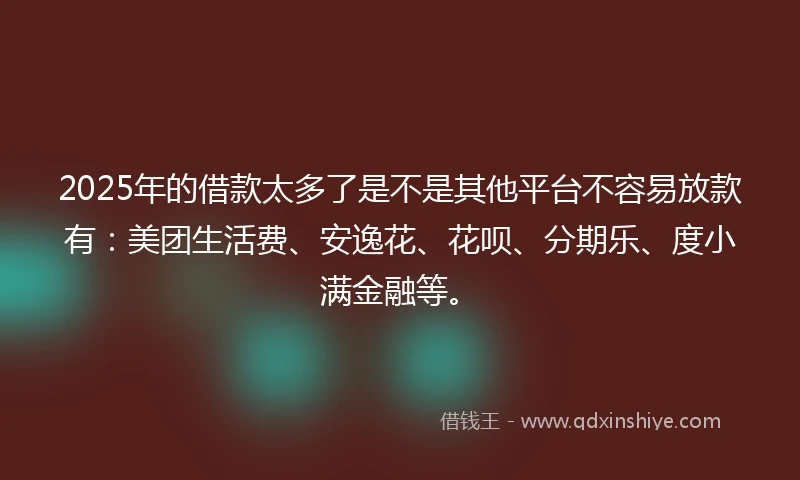 2025年的借款太多了是不是其他平台不容易放款有:美团生活费、安逸花、花呗、分期乐、度小满金融等。