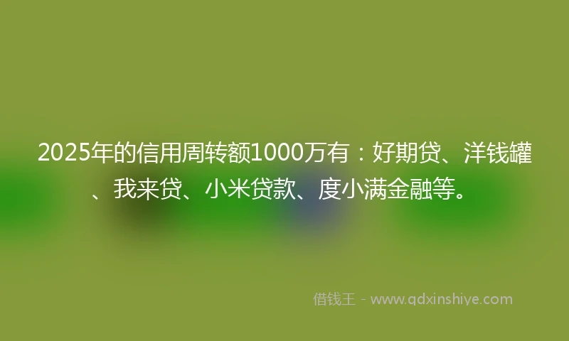 2025年的信用周转额1000万有：好期贷、洋钱罐、我来贷、小米贷款、度小满金融等。