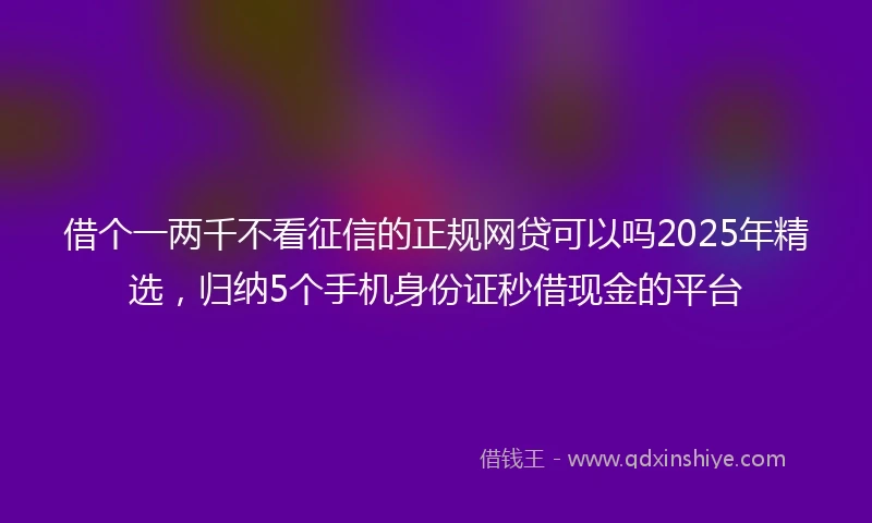 借个一两千不看征信的正规网贷可以吗2025年精选，归纳5个手机身份证秒借现金的平台