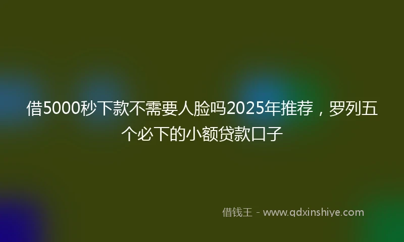 借5000秒下款不需要人脸吗2025年推荐，罗列五个必下的小额贷款口子