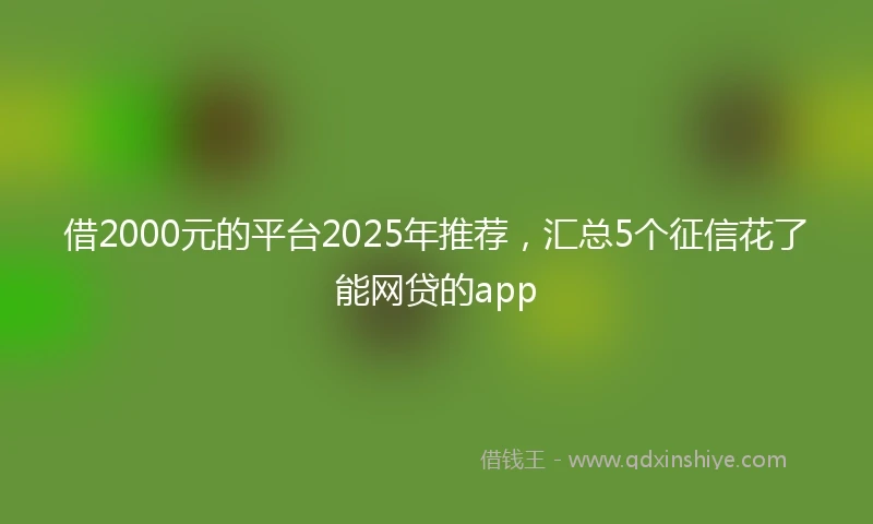 借2000元的平台2025年推荐，汇总5个征信花了能网贷的app