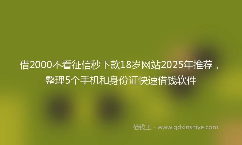 借2000不看征信秒下款18岁网站2025年推荐,整理5个手机和身份证快速借钱软件