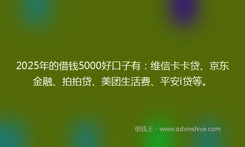 2025年的借钱5000好口子有：维信卡卡贷、京东金融、拍拍贷、美团生活费、平安i贷等。