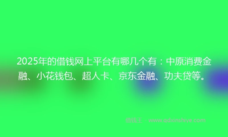 2025年的借钱网上平台有哪几个有：中原消费金融、小花钱包、超人卡、京东金融、功夫贷等。