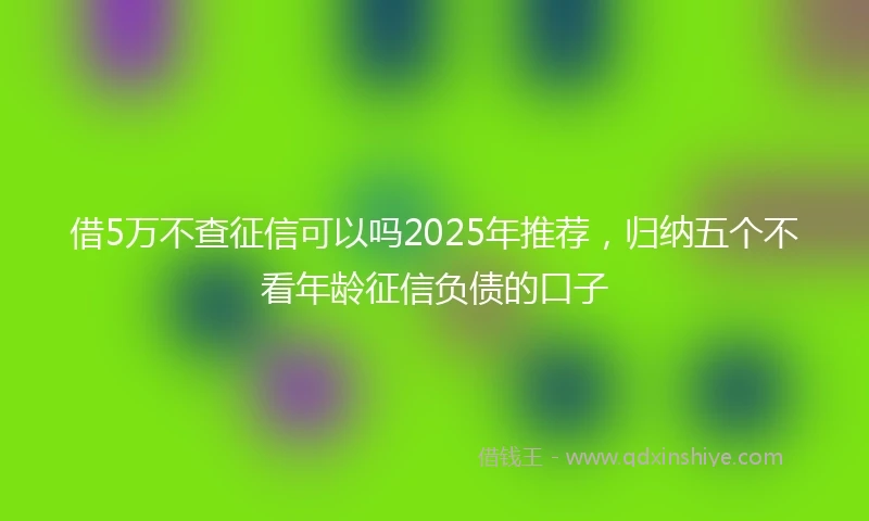 借5万不查征信可以吗2025年推荐，归纳五个不看年龄征信负债的口子