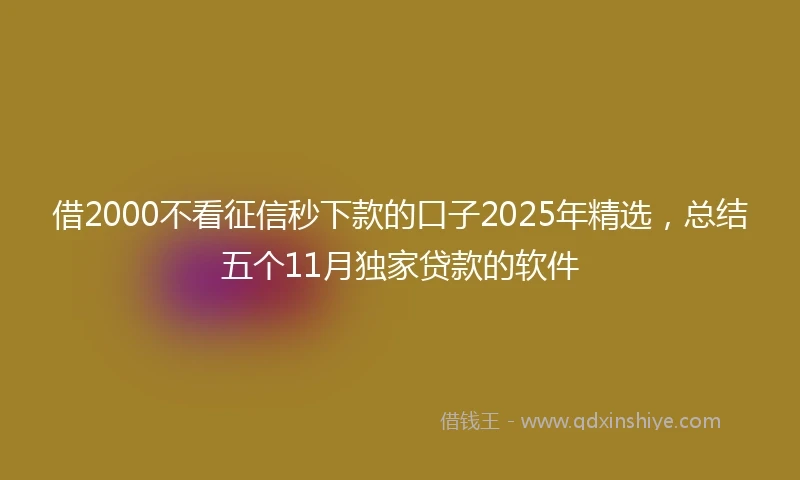 借2000不看征信秒下款的口子2025年精选，总结五个11月独家贷款的软件
