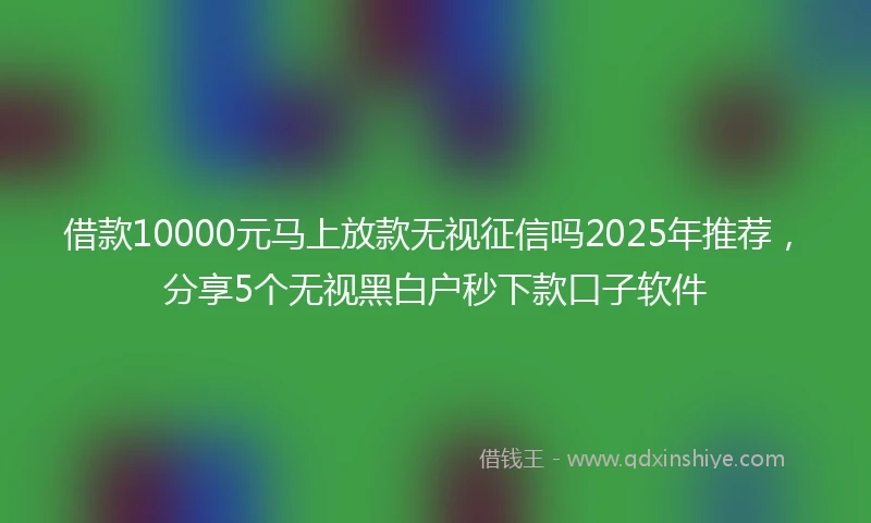 借款10000元马上放款无视征信吗2025年推荐，分享5个无视黑白户秒下款口子软件