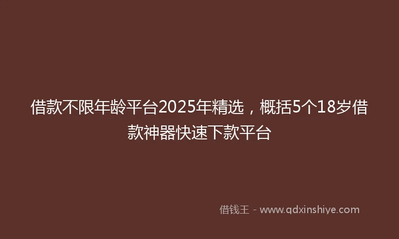 借款不限年龄平台2025年精选，概括5个18岁借款神器快速下款平台