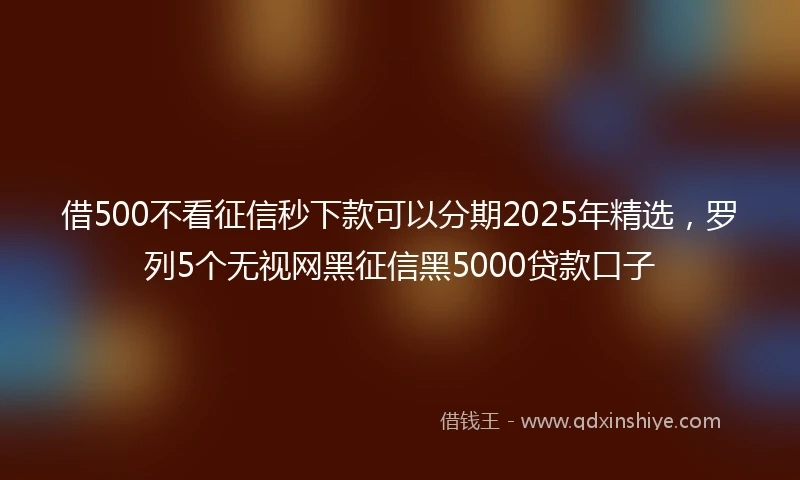 借500不看征信秒下款可以分期2025年精选，罗列5个无视网黑征信黑5000贷款口子
