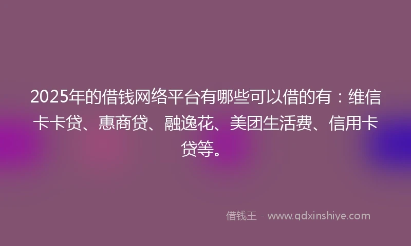 2025年的借钱网络平台有哪些可以借的有：维信卡卡贷、惠商贷、融逸花、美团生活费、信用卡贷等。