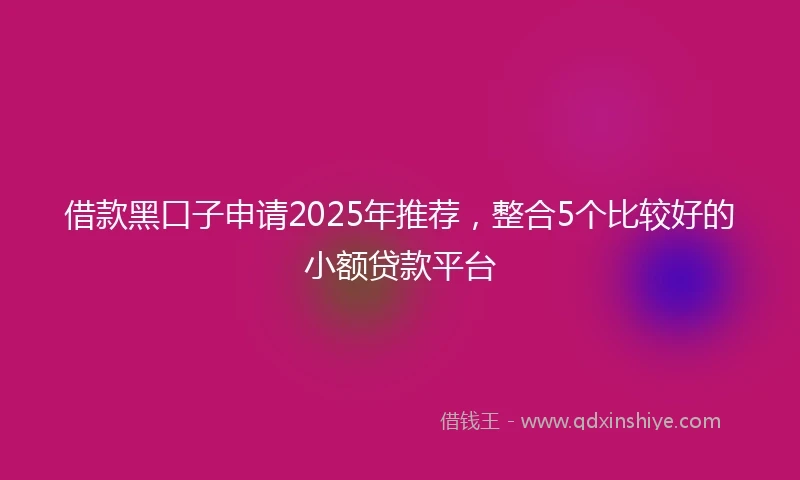 借款黑口子申请2025年推荐，整合5个比较好的小额贷款平台