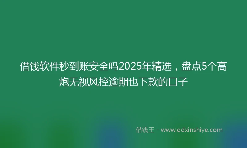 借钱软件秒到账安全吗2025年精选，盘点5个高炮无视风控逾期也下款的口子