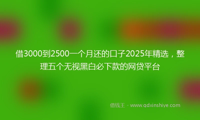 借3000到2500一个月还的口子2025年精选,整理五个无视黑白必下款的网贷平台