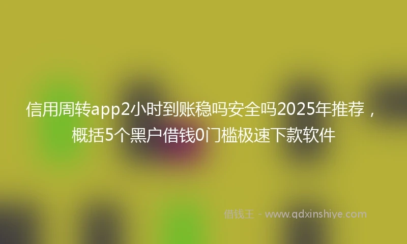 信用周转app2小时到账稳吗安全吗2025年推荐，概括5个黑户借钱0门槛极速下款软件