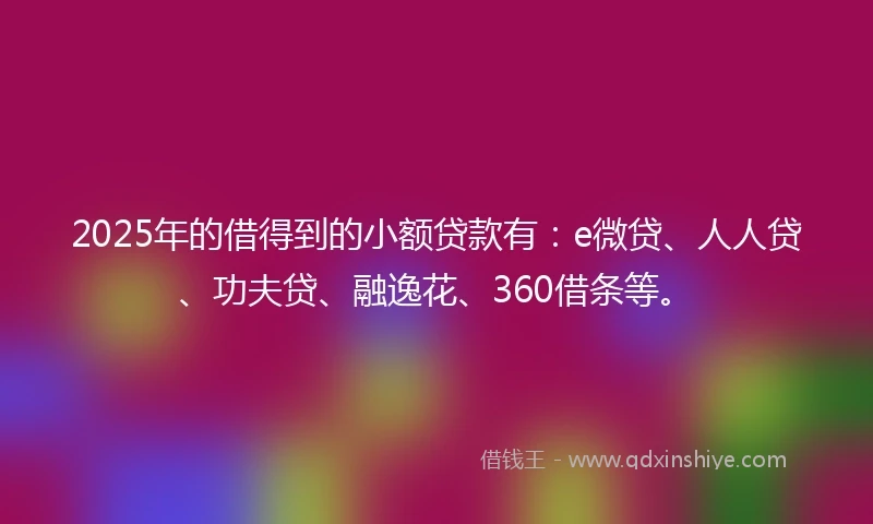 2025年的借得到的小额贷款有：e微贷、人人贷、功夫贷、融逸花、360借条等。