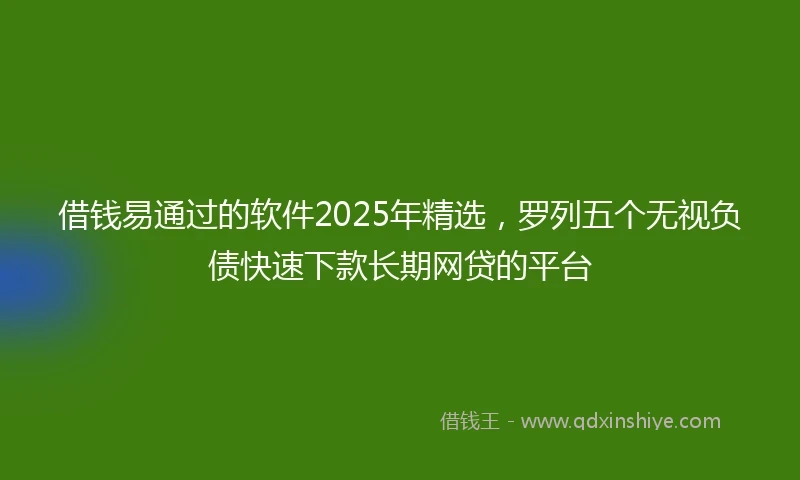 借钱易通过的软件2025年精选，罗列五个无视负债快速下款长期网贷的平台