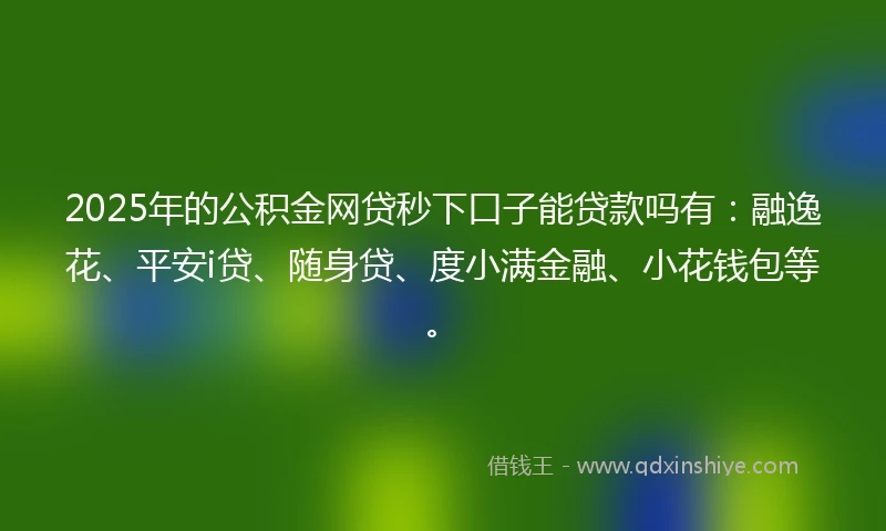 2025年的公积金网贷秒下口子能贷款吗有：融逸花、平安i贷、随身贷、度小满金融、小花钱包等。