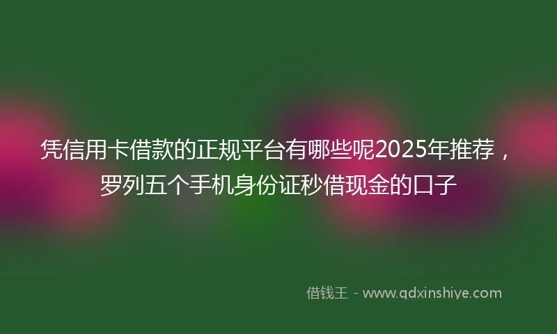 凭信用卡借款的正规平台有哪些呢2025年推荐，罗列五个手机身份证秒借现金的口子