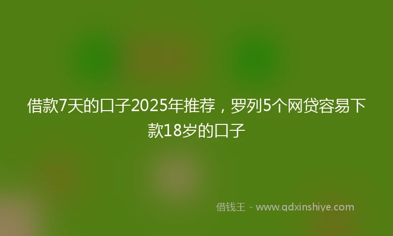 借款7天的口子2025年推荐，罗列5个网贷容易下款18岁的口子