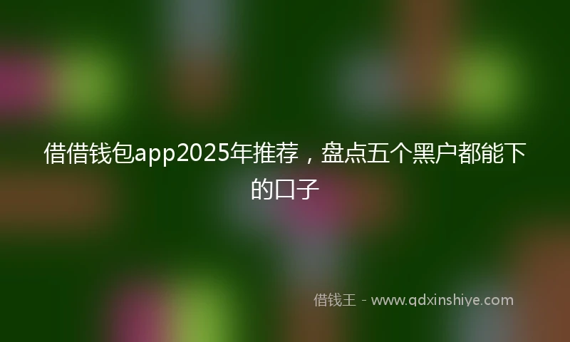借借钱包app2025年推荐，盘点五个黑户都能下的口子