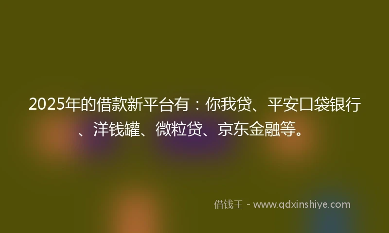 2025年的借款新平台有：你我贷、平安口袋银行、洋钱罐、微粒贷、京东金融等。
