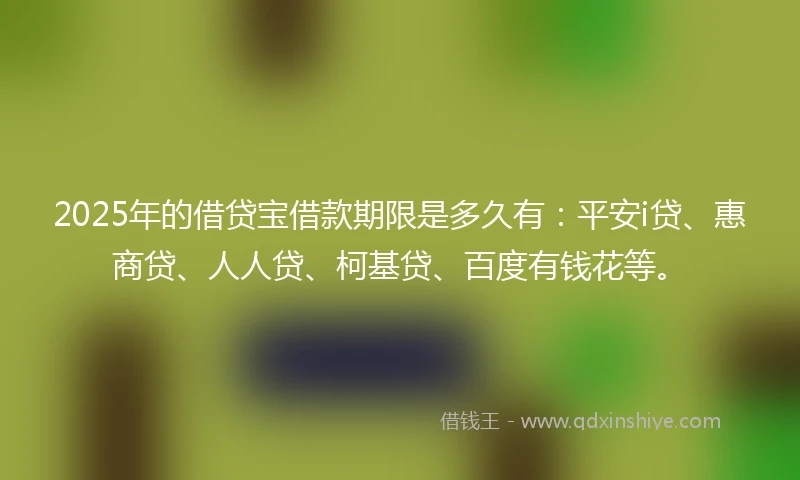 2025年的借贷宝借款期限是多久有：平安i贷、惠商贷、人人贷、柯基贷、百度有钱花等。