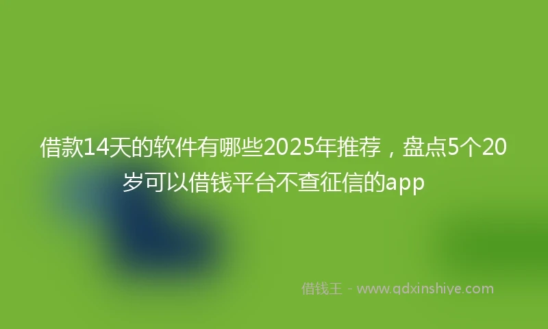 借款14天的软件有哪些2025年推荐，盘点5个20岁可以借钱平台不查征信的app