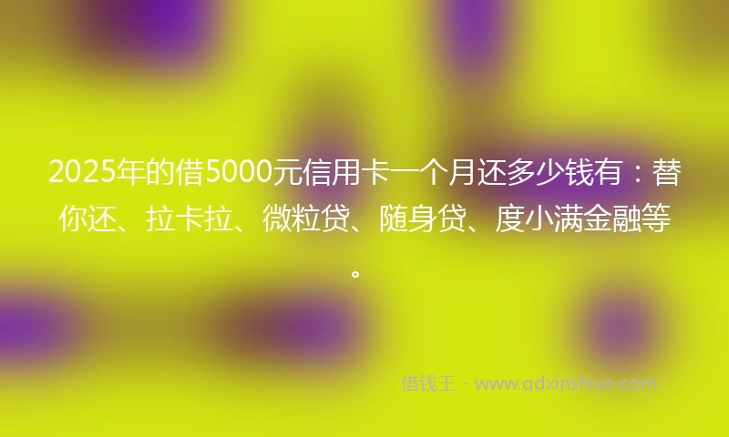 2025年的借5000元信用卡一个月还多少钱有：替你还、拉卡拉、微粒贷、随身贷、度小满金融等。