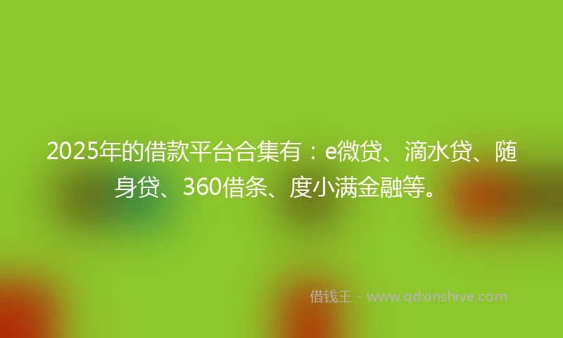 2025年的借款平台合集有：e微贷、滴水贷、随身贷、360借条、度小满金融等。