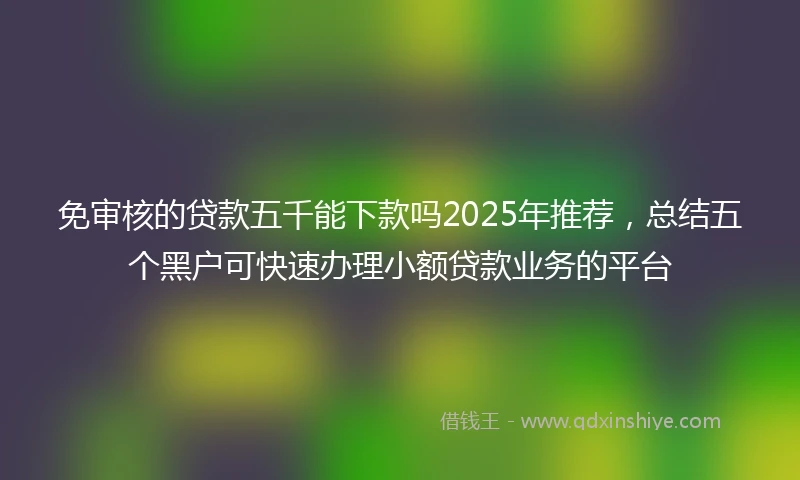 免审核的贷款五千能下款吗2025年推荐，总结五个黑户可快速办理小额贷款业务的平台