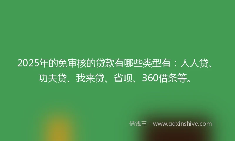 2025年的免审核的贷款有哪些类型有：人人贷、功夫贷、我来贷、省呗、360借条等。