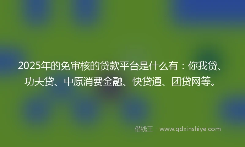 2025年的免审核的贷款平台是什么有：你我贷、功夫贷、中原消费金融、快贷通、团贷网等。