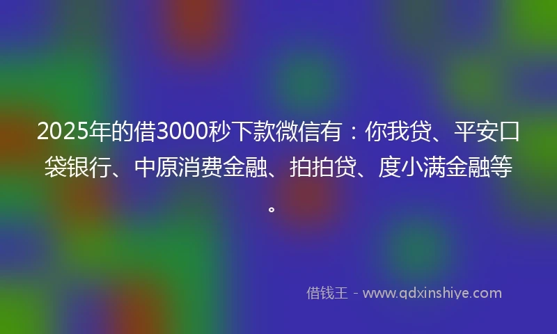 2025年的借3000秒下款微信有：你我贷、平安口袋银行、中原消费金融、拍拍贷、度小满金融等。