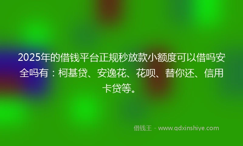 2025年的借钱平台正规秒放款小额度可以借吗安全吗有：柯基贷、安逸花、花呗、替你还、信用卡贷等。