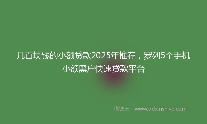 几百块钱的小额贷款2025年推荐，罗列5个手机小额黑户快速贷款平台