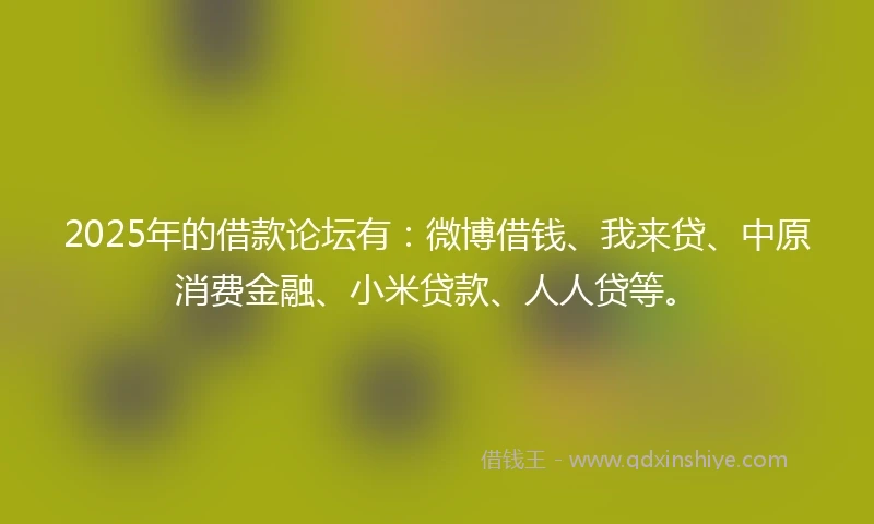 2025年的借款论坛有：微博借钱、我来贷、中原消费金融、小米贷款、人人贷等。
