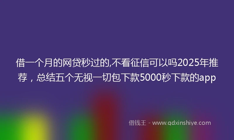 借一个月的网贷秒过的,不看征信可以吗2025年推荐，总结五个无视一切包下款5000秒下款的app