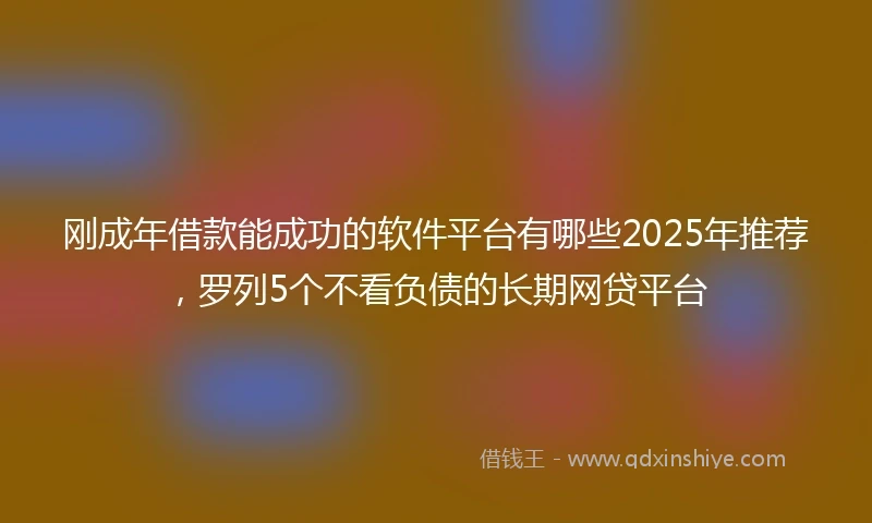 刚成年借款能成功的软件平台有哪些2025年推荐，罗列5个不看负债的长期网贷平台