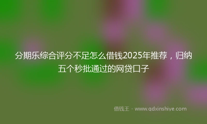 分期乐综合评分不足怎么借钱2025年推荐，归纳五个秒批通过的网贷口子