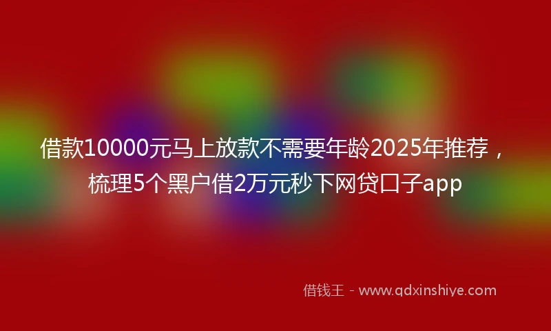 借款10000元马上放款不需要年龄2025年推荐，梳理5个黑户借2万元秒下网贷口子app