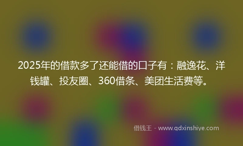 2025年的借款多了还能借的口子有：融逸花、洋钱罐、投友圈、360借条、美团生活费等。