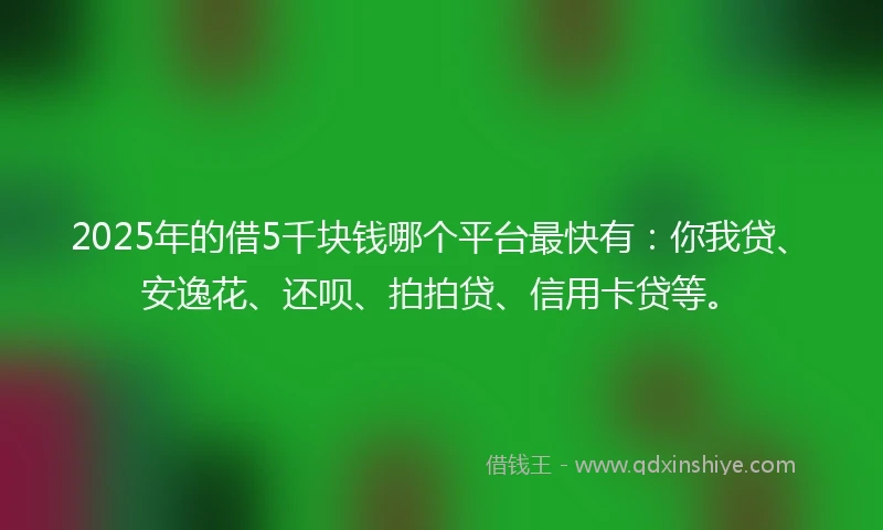 2025年的借5千块钱哪个平台最快有：你我贷、安逸花、还呗、拍拍贷、信用卡贷等。
