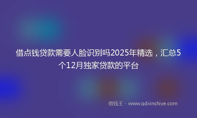 借点钱贷款需要人脸识别吗2025年精选，汇总5个12月独家贷款的平台
