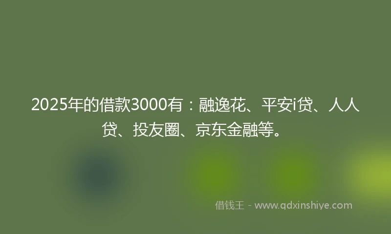 2025年的借款3000有：融逸花、平安i贷、人人贷、投友圈、京东金融等。