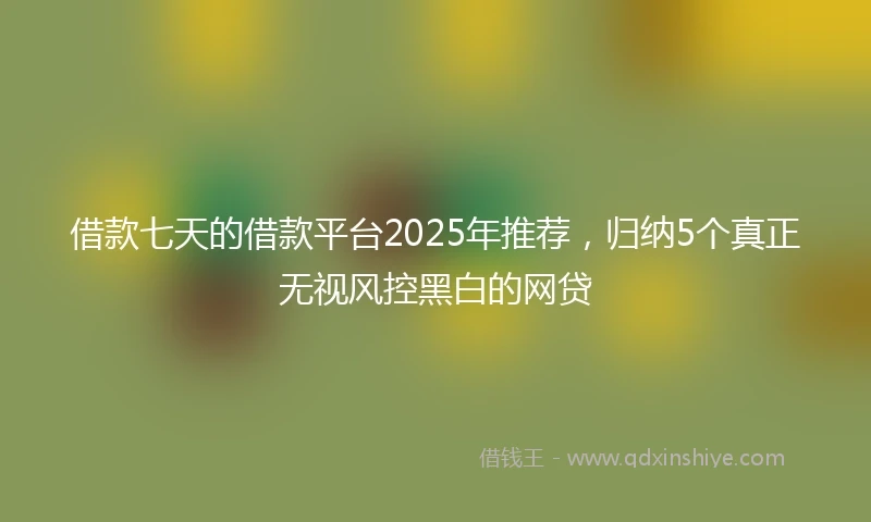 借款七天的借款平台2025年推荐，归纳5个真正无视风控黑白的网贷